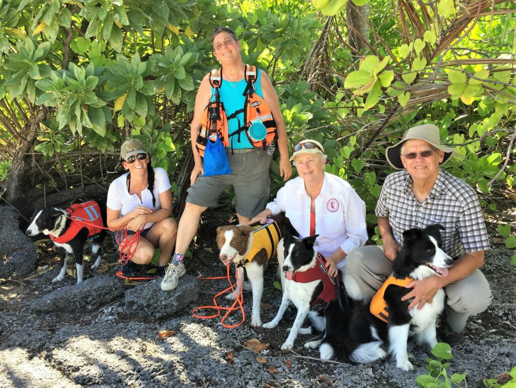 photo of H. Four forensic dogs and their handlers on Niku