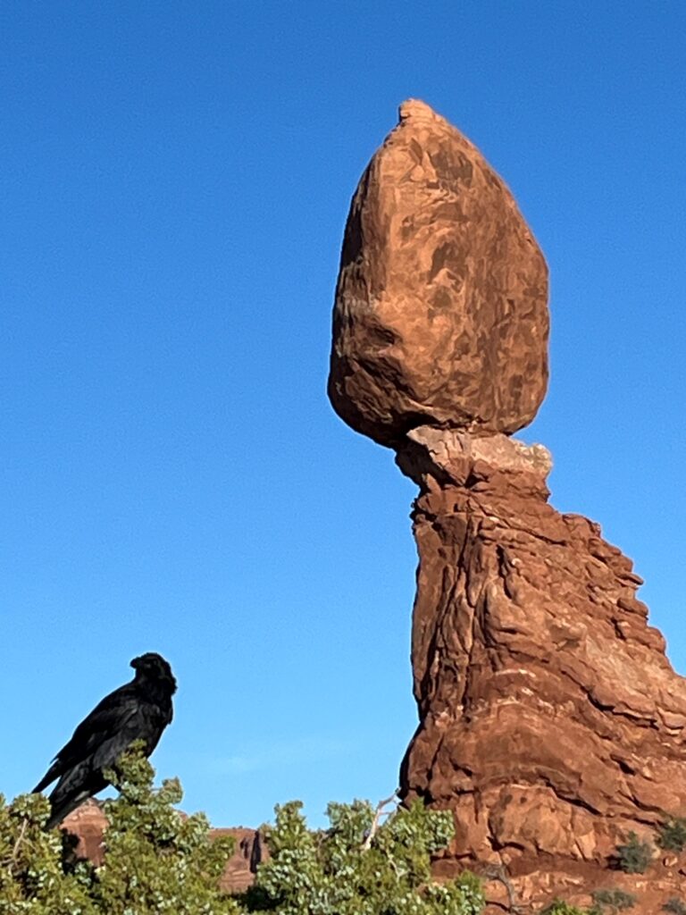 Rock and crow in Arches National Park in Utah