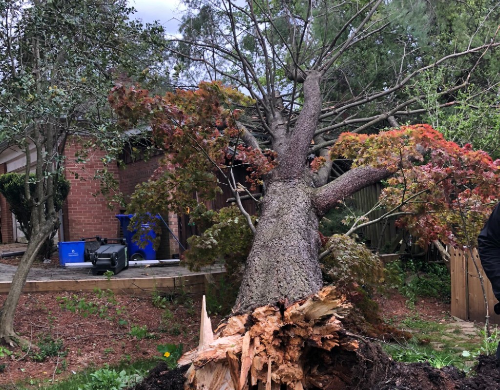 High Winds Cause Damage, Power Outages Across the County - Montgomery ...