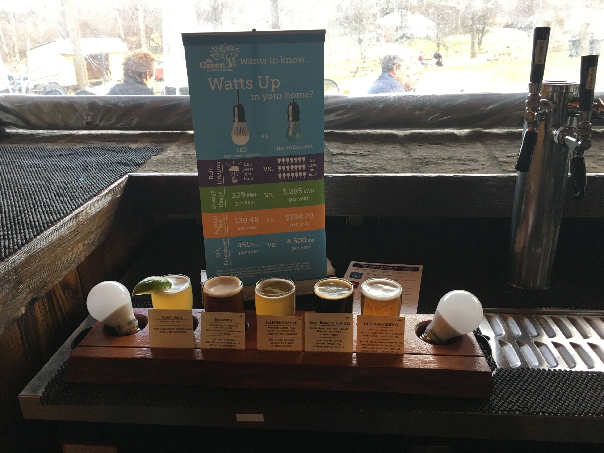 photo of bulbs and brews display