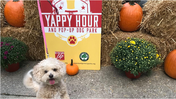 Yappy Hour