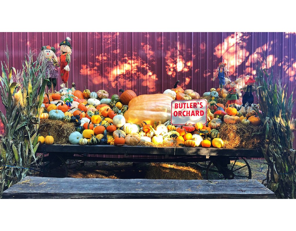 The Latest on Fall Festivals: What's Still on, What's Not, What's ...