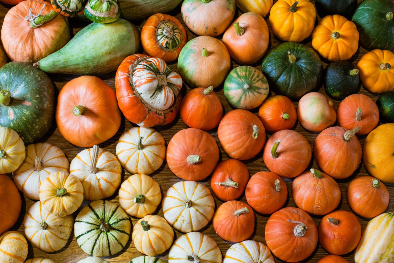 Fall festivities happening in and around Montgomery County