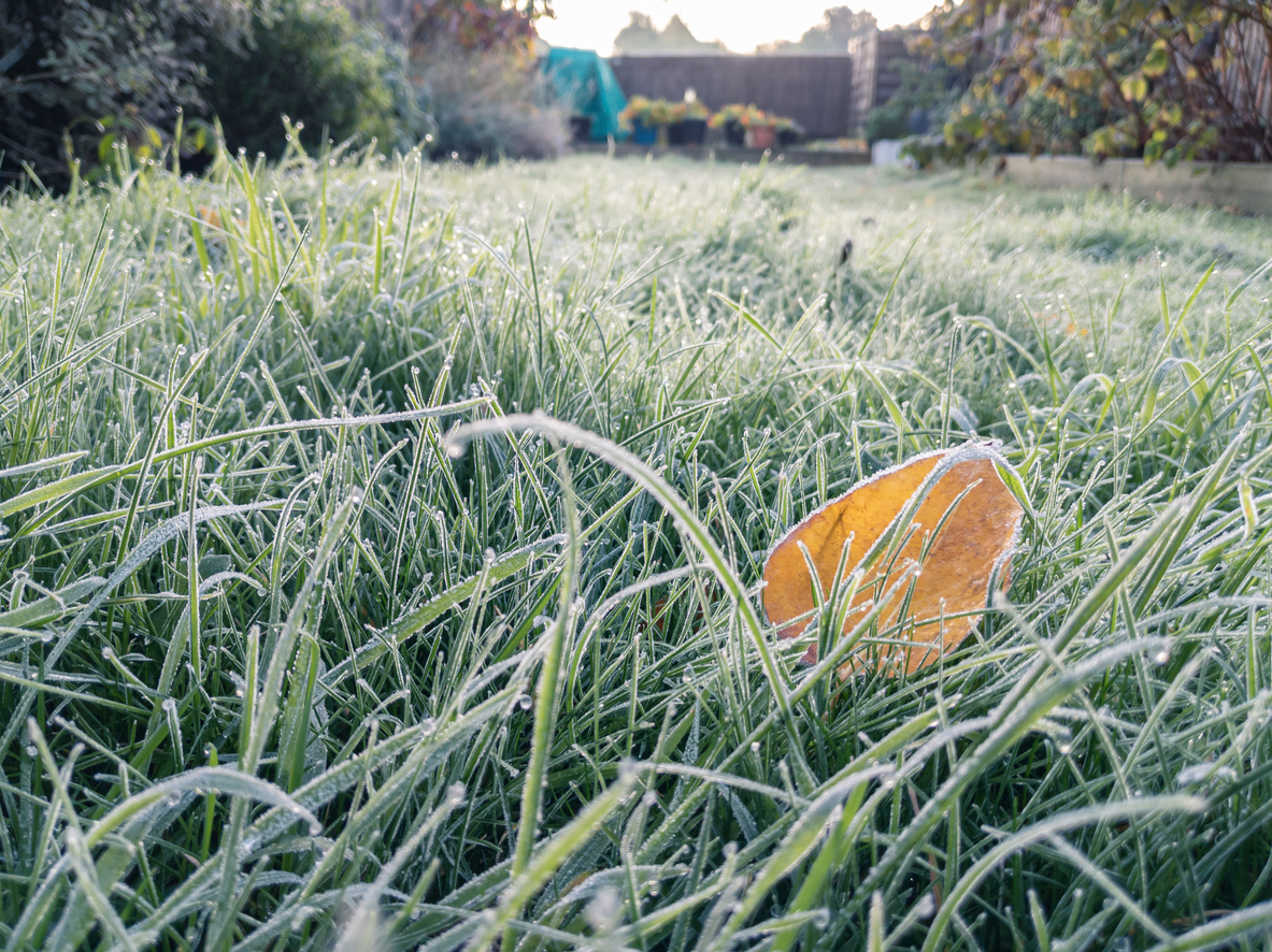 Overnight Freeze Warning Issued for Northwest Montgomery County ...