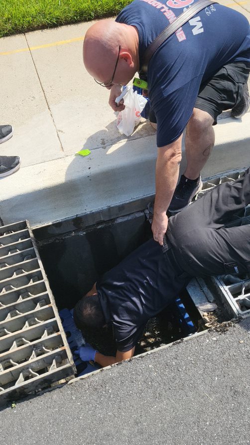 Police Officer Saves 8 Ducklings Trapped in Storm Drain - Montgomery ...
