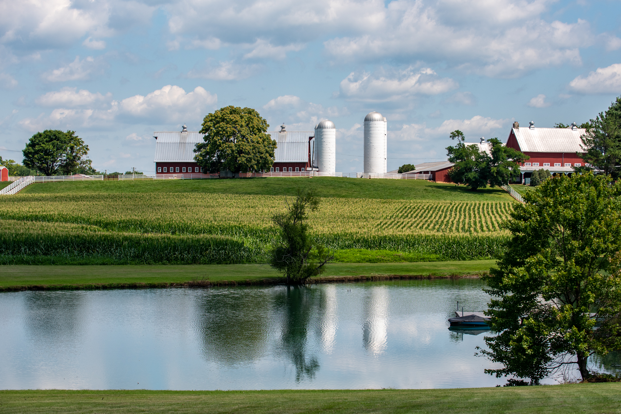 Tusculum Farm Landscape