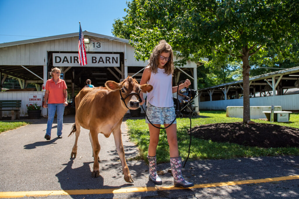 County fair asks parents to pick option 3 on MCPS calendar survey
