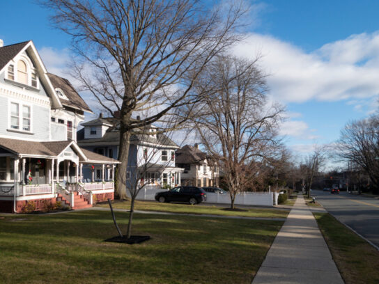 photo of winter leafless trees in suburban neighborhood