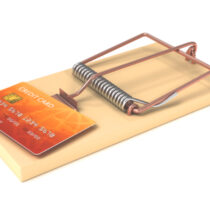 photo of credit card as bait in a mouse trap