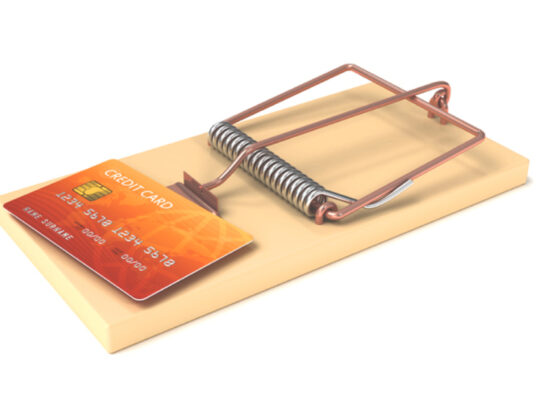 photo of credit card as bait in a mouse trap