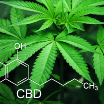 photo of cannabis or marijuana plant with chemical formula