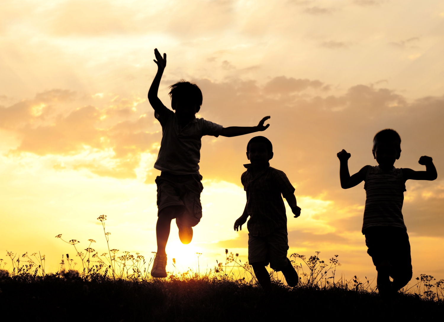 Understanding Children’s Mental Health – Montgomery Community Media