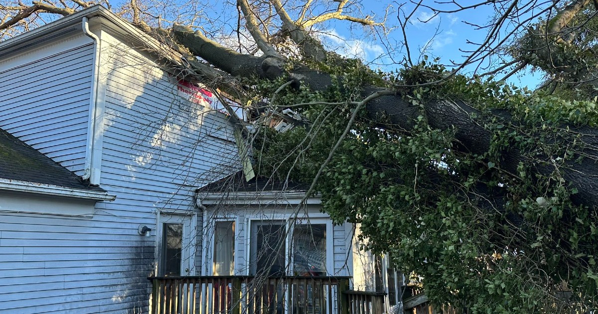 High Winds Cause Trees to Topple, Power Outages - Montgomery Community ...