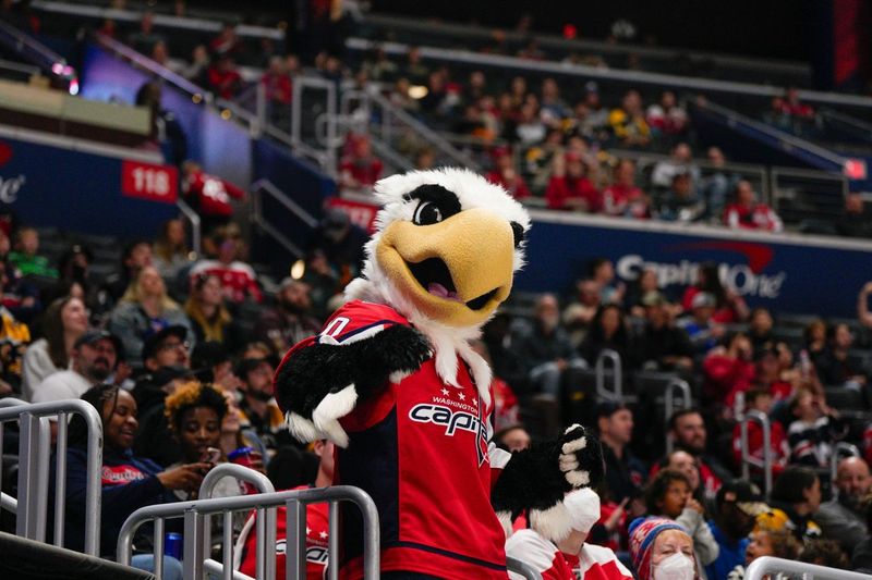 Washington Capitals to Host Bethesda Shopping Fundraiser