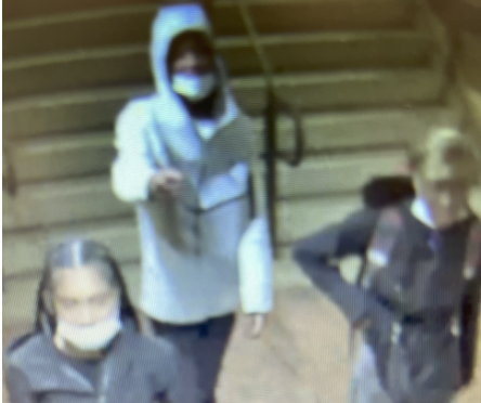 carjacking suspects in Bethesda