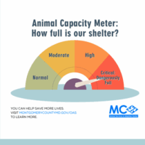 montgomery county animal shelter over capacity