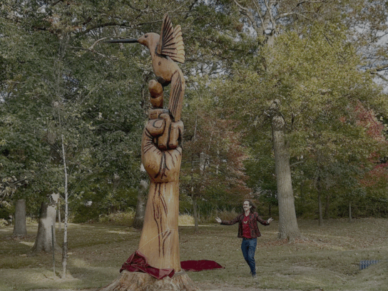carving colin vale washington grove hummingbird woodcarving