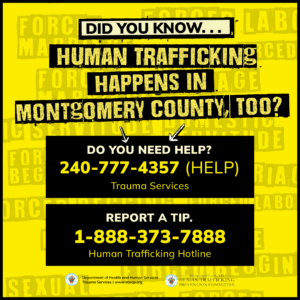 human trafficking 