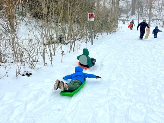 Sledding in Takoma Park on Jan. 25, 2026. Photo courtesy: Frank Hanrahan.