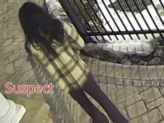 potomac valentine's day person of interest mcpd