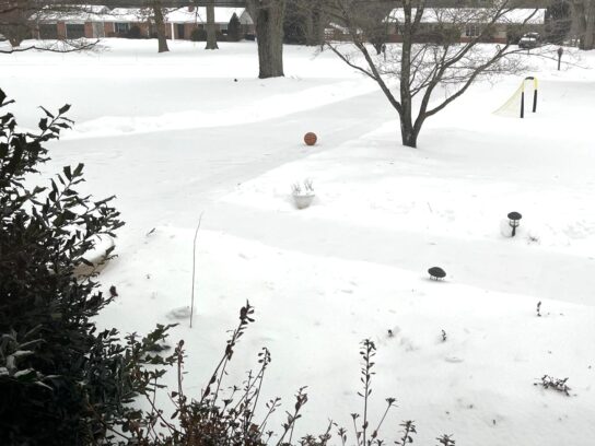 Homes in Damascus remain covered in snow and a layer of ice, making cleanup more difficult for residents. Photo: Cristina Caicedo Smit