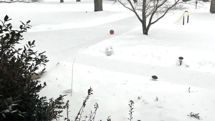 Homes in Damascus remain covered in snow and a layer of ice, making cleanup more difficult for residents. Photo: Cristina Caicedo Smit