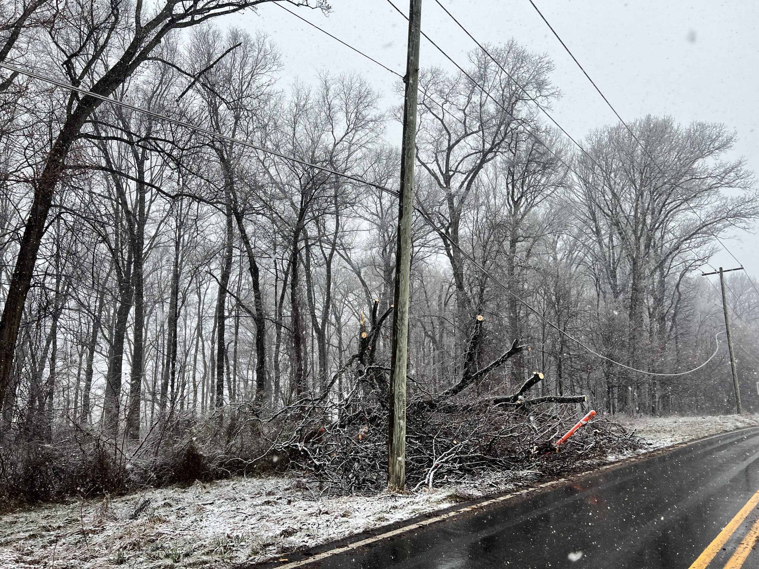 Storm winds bring down trees and power lines across Montgomery County ...