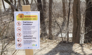 Potomac River raw sewage spill warning sign.