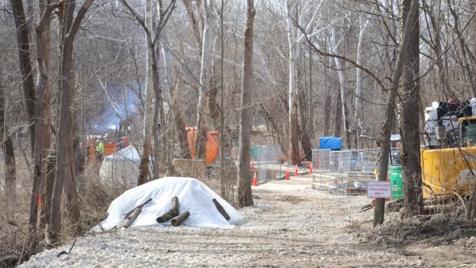 potomac river sewage spill site_photo credit Sophia Hernandez-Pina