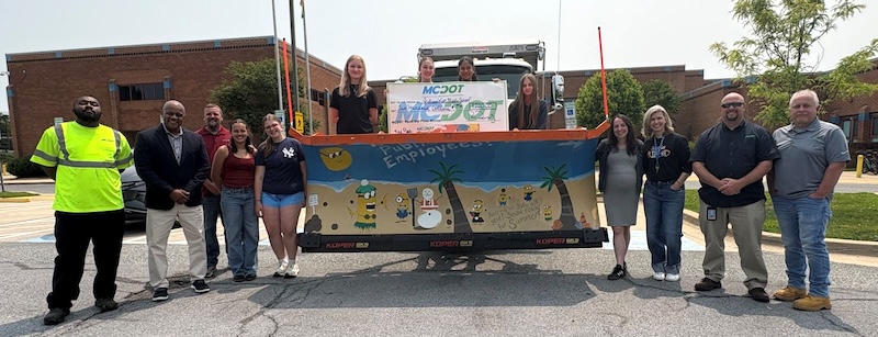 paint the plow minions design