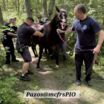 horse rescue at Patuxent River State Park