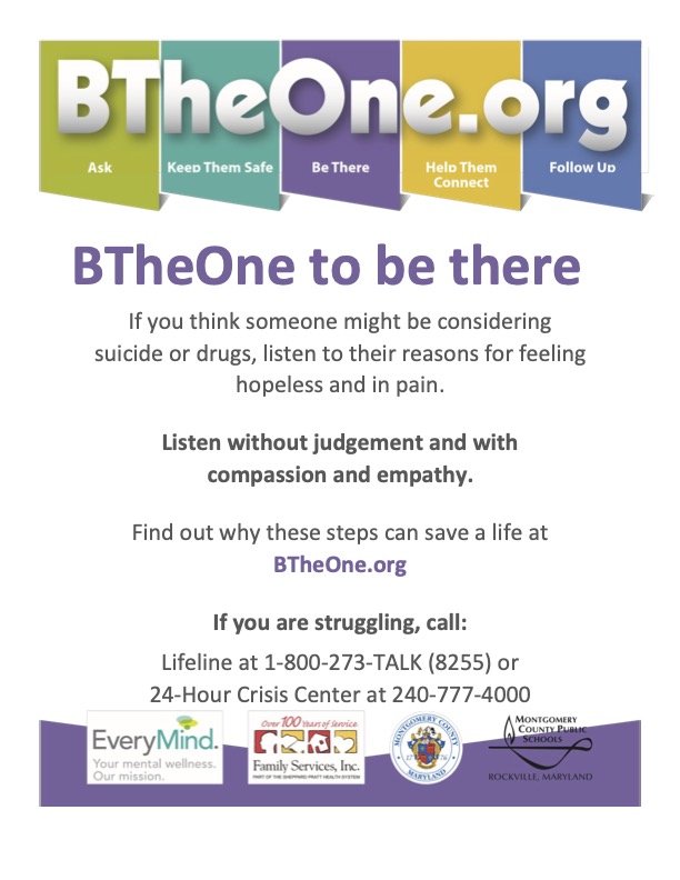 BTheOne_flyer