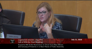 Councilmember Dawn Luedtke at County Council Meeting on July 21, 2026.