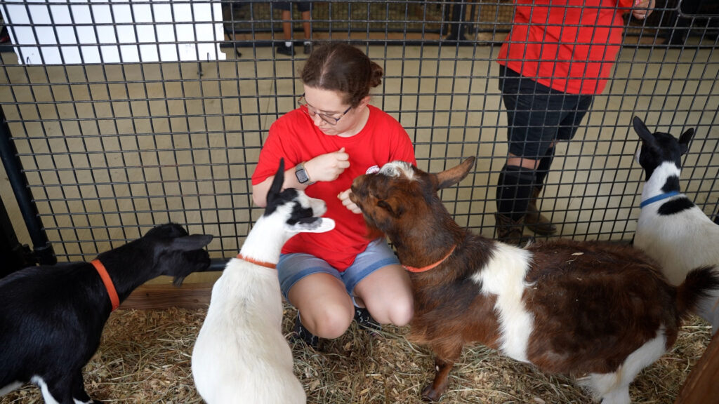Volunteers at the Ag Fair