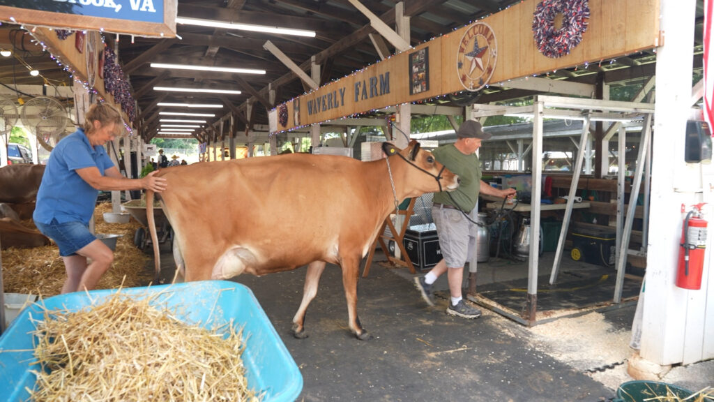 Montgomery County Agricultural Fair 2026
