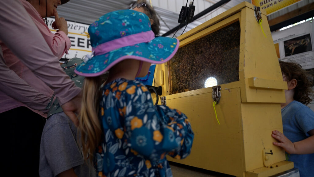 Bees exhibition Ag Fair