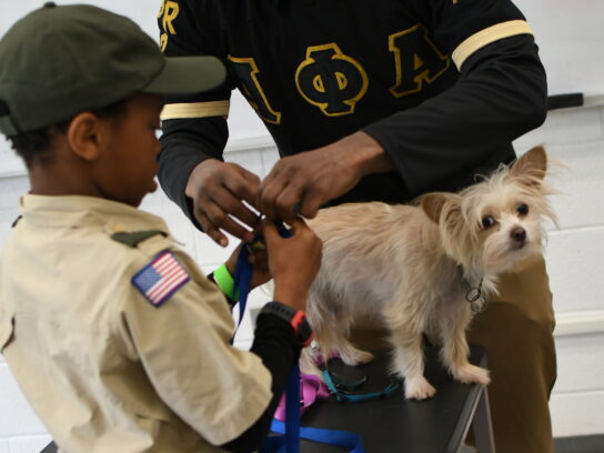 A Scout in uniform works with an Alpha Phi Alpha member during a veterinary medicine merit badge class at Alpha Merit Badge University.
