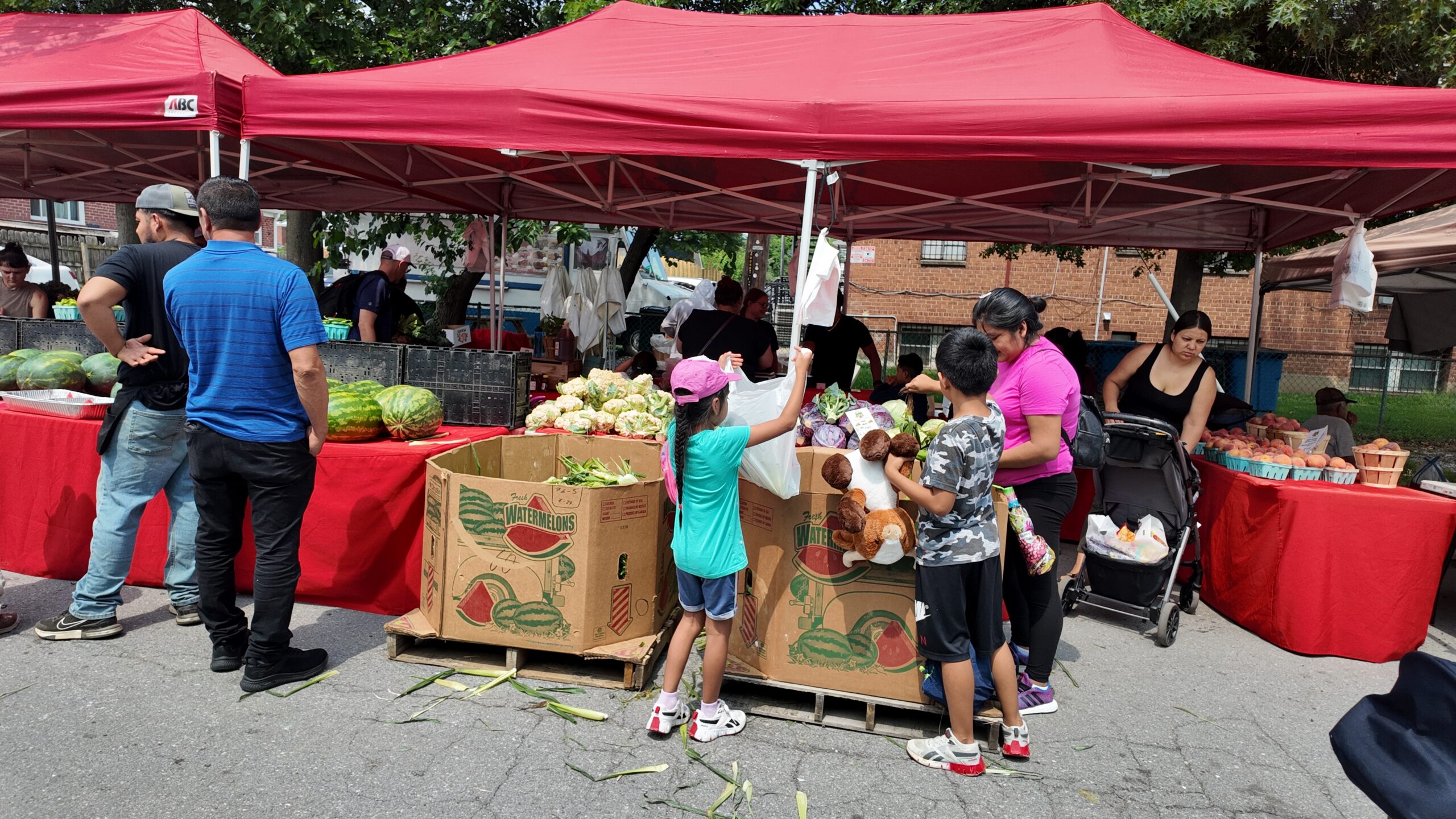 Crossroads Farmers Market marks 20 Years and $1 Million in ‘Fresh Checks’