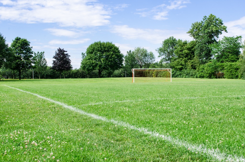 Montgomery Parks invites public feedback on new athletic field policy