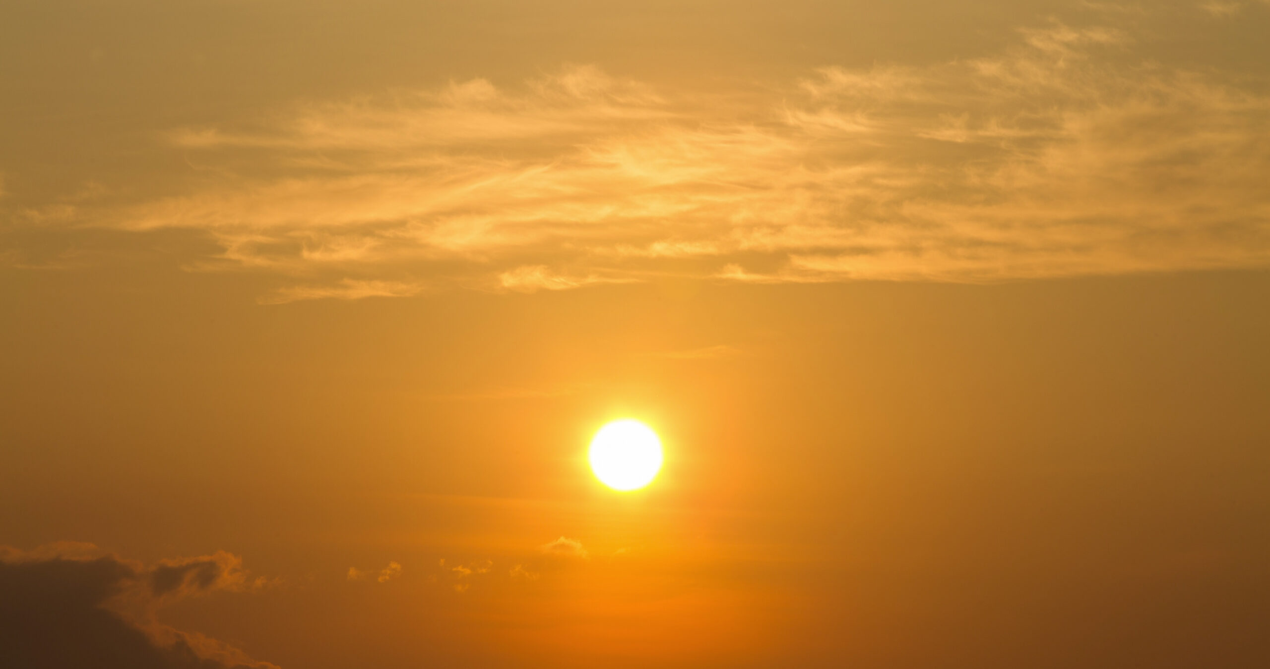 Montgomery County confirms 4 heat deaths in Maryland’s worst heat season on record
