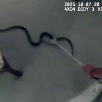 Officer catches snake with bare hands in Montgomery Village. Photo Credit MCPD