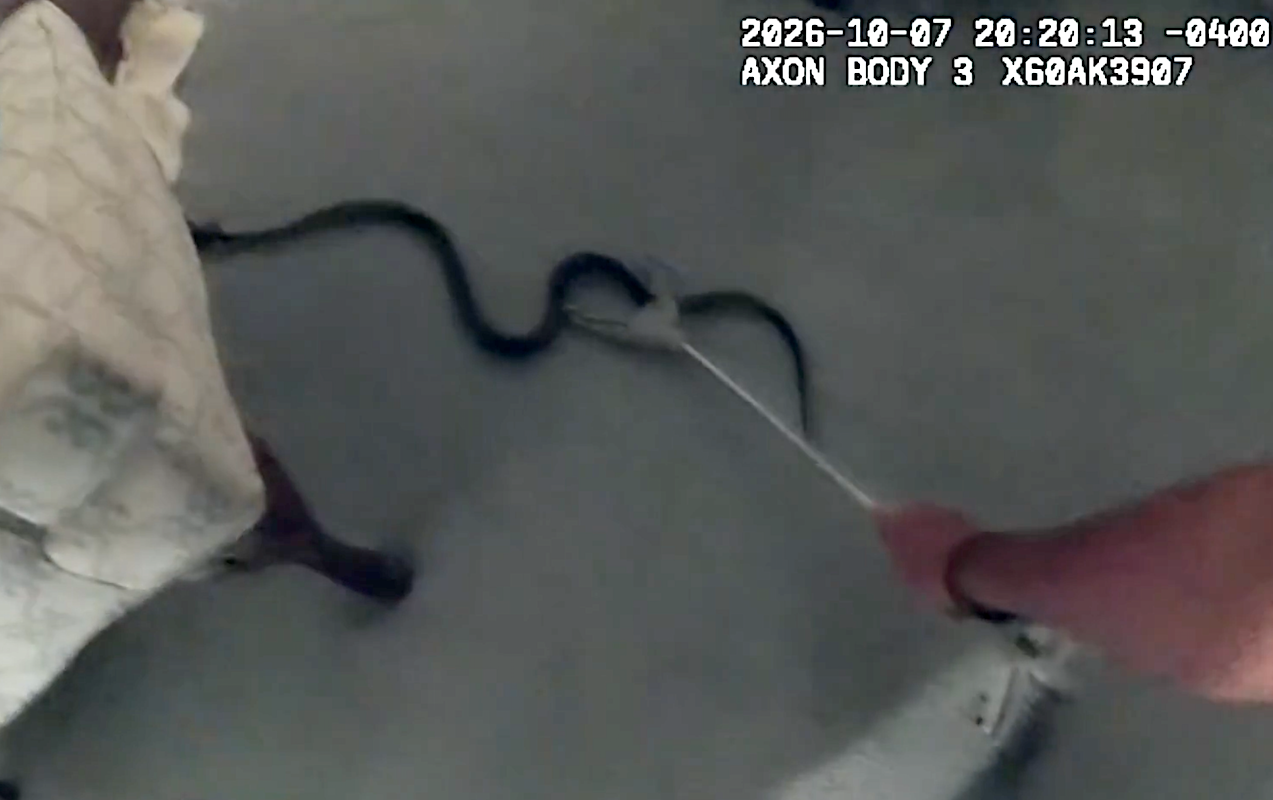 Officer wrangles snake in elderly woman’s Montgomery Village home